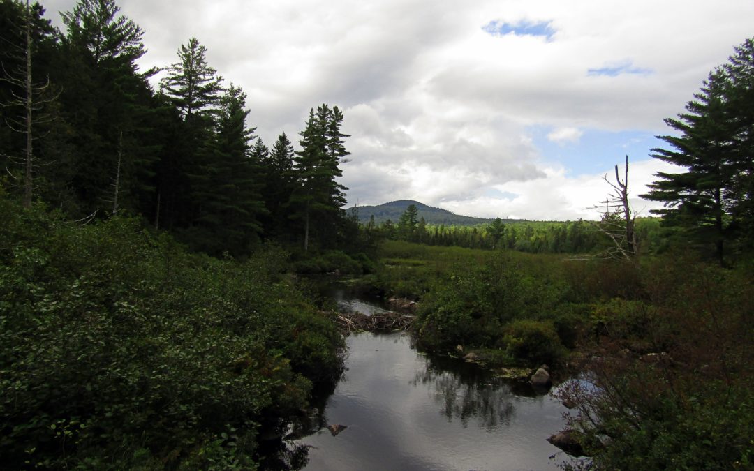 See what all the fuss is about – A visit to the Katahdin Region & the Katahdin Woods & Waters National Monument